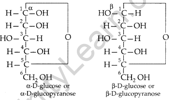 Important Questions for Class 12 Chemistry Chapter 14 Biomolecules Class 12 Important Questions 11