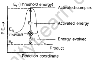 Important Questions for Class 12 Chemistry Chapter 4 Chemical Kinetics Class 12 Important Questions 36