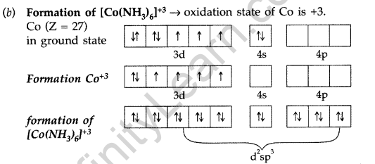 Important Questions for Class 12 Chemistry Chapter 9 Coordination Compounds Class 12 Important Questions 19