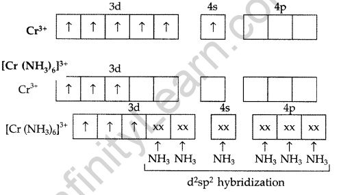 Important Questions for Class 12 Chemistry Chapter 9 Coordination Compounds Class 12 Important Questions 23