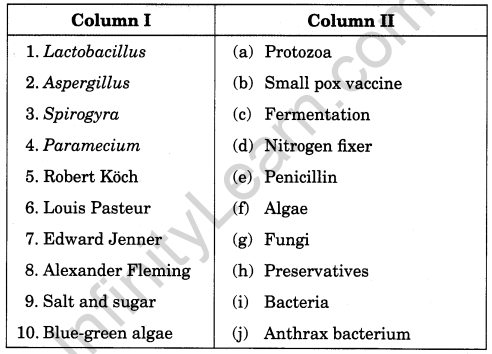 Microorganisms Friend and Foe Class 8 Extra Questions Science Chapter 2 3