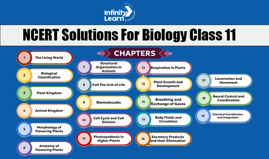 NCERT Solutions for Class 11 Biology | Chapter-wise Links