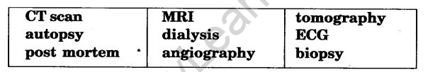 NCERT Solutions For Class 11 English Hornbill Discovering Tut The Saga Continues Q2