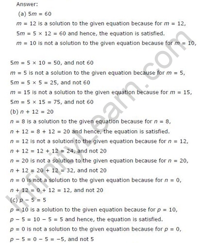 NCERT Solutions For Class 6 Maths Algebra Exercise 11.5 Q6