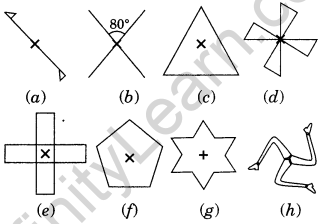 NCERT Solutions for Class 7 Maths Chapter 14 Symmetry Ex 14.2 2