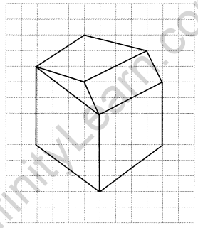 NCERT Solutions for Class 7 Maths Chapter 15 Visualising Solid Shapes Ex 15.2 12