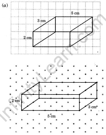 NCERT Solutions for Class 7 Maths Chapter 15 Visualising Solid Shapes Ex 15.2 13