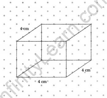 NCERT Solutions for Class 7 Maths Chapter 15 Visualising Solid Shapes Ex 15.2 15