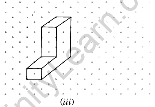 NCERT Solutions for Class 7 Maths Chapter 15 Visualising Solid Shapes Ex 15.2 5