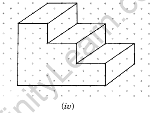 NCERT Solutions for Class 7 Maths Chapter 15 Visualising Solid Shapes Ex 15.2 6