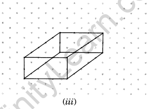 NCERT Solutions for Class 7 Maths Chapter 15 Visualising Solid Shapes Ex 15.2 8