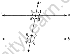 NCERT Solutions for Class 7 Maths Chapter 5 Lines and Angles Ex 5.2 2