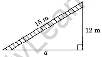 NCERT Solutions for Class 7 Maths Chapter 6 The Triangle and its Properties Ex 6.5 3