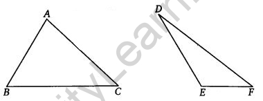 NCERT Solutions for Class 7 Maths Chapter 7 Congruence of Triangles Ex 7.2 Q8