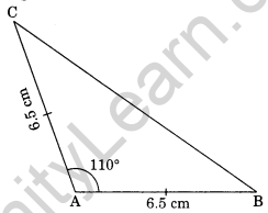 NCERT Solutions for Class 7 Maths Practical Geometry Ex 10.3 2