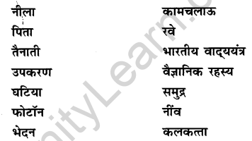 NCERT Solutions for Class 9 Hindi Sparsh Chapter 5 वैज्ञानिक चेतना के वाहक चन्द्र शेखर वेंकट रामन Q6