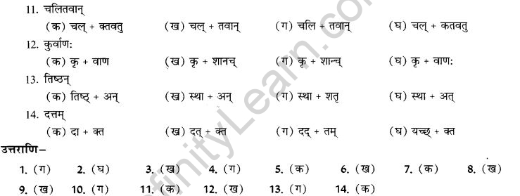 NCERT Solutions for Class 9th Sanskrit Chapter 19 Shatr Shanach Pratyayoh Prayogah 14