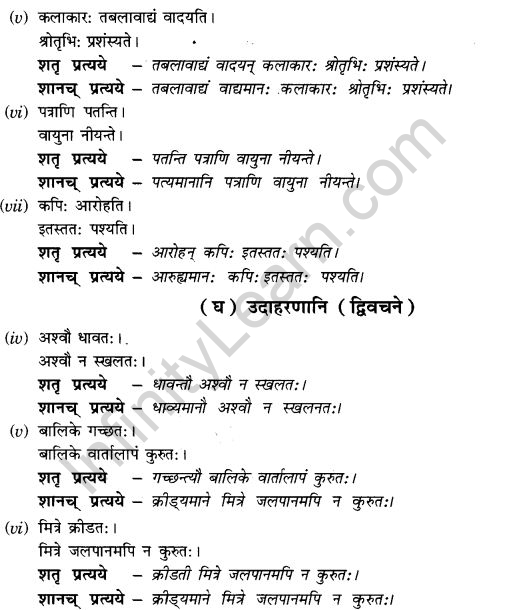 NCERT Solutions for Class 9th Sanskrit Chapter 19 Shatr Shanach Pratyayoh Prayogah 3