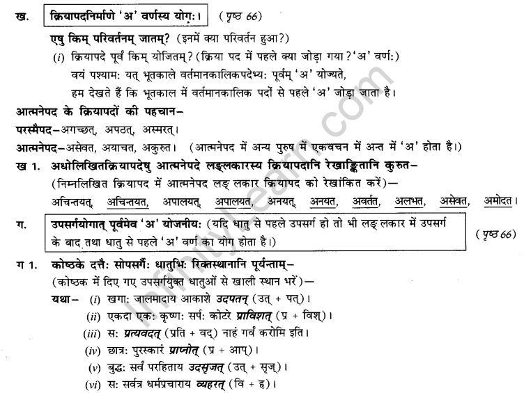 NCERT Solutions for Class 9th Sanskrit Chapter 7 Bhutakalah 6