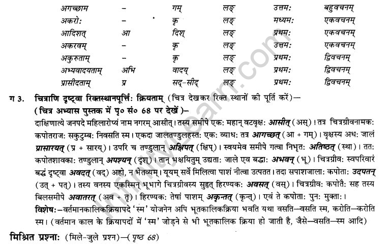 NCERT Solutions for Class 9th Sanskrit Chapter 7 Bhutakalah 8
