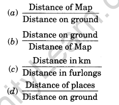 Practical Work in Geography Class 11 Solutions Chapter 2 Map Scale MCQs Q6