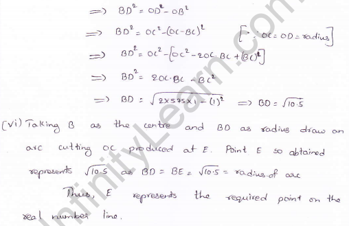 RD Sharma class 9 maths Solutions chapter 1 Number System Exercise 1.5 Question 3_8