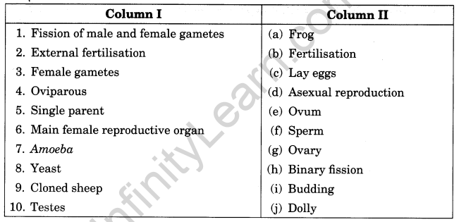 Reproduction in Animals Class 8 Extra Questions Science Chapter 9 6