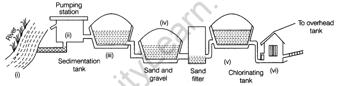 Wastewater Story Class 7 Extra Questions Science Chapter 18 1