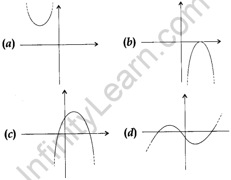MCQ Questions for Class 10 Maths Polynomials with Solutions 4