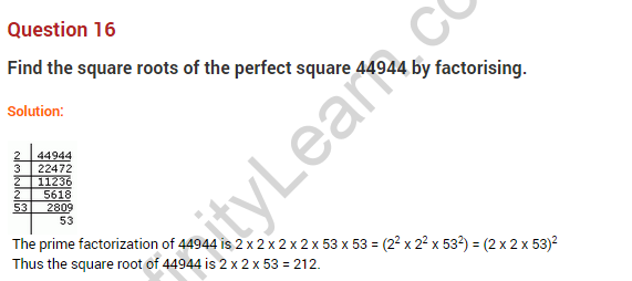 squares-and-square-roots-ncert-extra-questions-for-class-8-maths-chapter-6-20