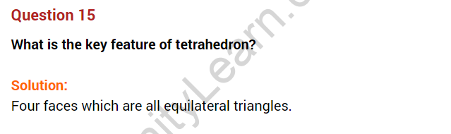 visualising-solid-shapes-ncert-extra-questions-for-class-8-maths-chapter-10-15