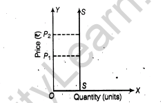 important-questions-for-class-12-economics-concept-of-supply-and-elasticity-of-supply-t-43-56