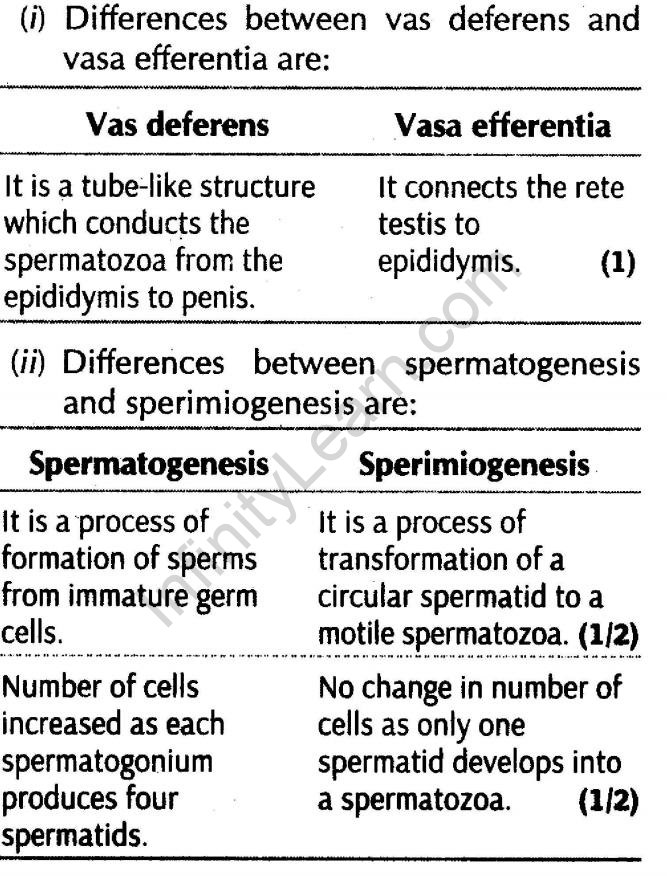 important-questions-for-class-12-biology-cbse-gametogenesis-q-3jpg_Page1