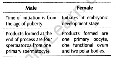 important-questions-for-class-12-biology-cbse-gametogenesis-t-32-23