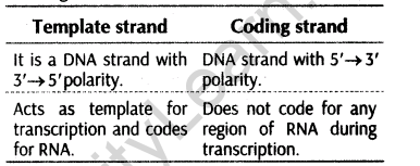 important-questions-for-class-12-biology-cbse-the-dna-and-rna-world-t-6-28