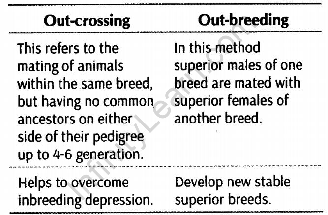 Important Questions for CBSE Class 12 Biology Animal Husbandry - Infinity  Learn