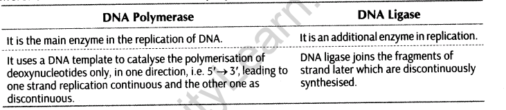 important-questions-for-class-12-biology-cbse-the-dna-and-rna-world-t-6-29