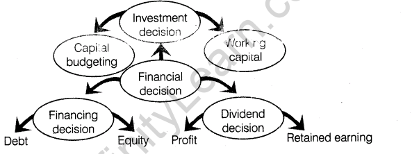 important-questions-for-class-12-business-studies-cbse-financial-decisions-capital-structure-