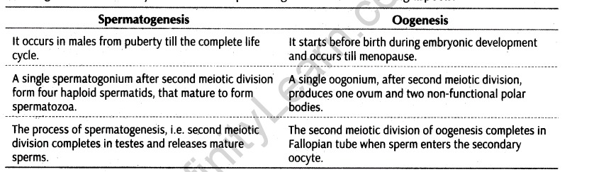 important-questions-for-class-12-biology-cbse-gametogenesis-t-32-17
