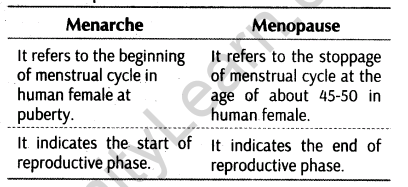 important-questions-for-class-12-biology-cbse-gametogenesis-t-32-15