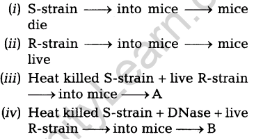 important-questions-for-class-12-biology-cbse-the-dna-and-rna-world-t-6-23