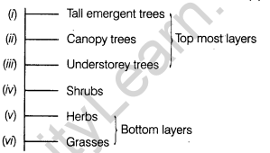 important-questions-for-class-12-biology-cbse-ecosystem-structure-and-function-productivity-and-decomposition-a1
