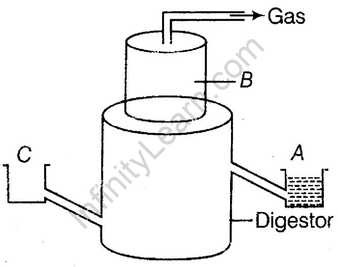 Kannada] Draw a neat diagram of a biogas plant and label (i) inlet