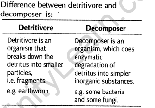 important-questions-for-class-12-biology-cbse-ecosystem-structure-and-function-productivity-and-decomposition-9