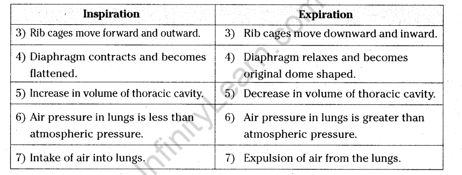 AP SSC 10th Class General Science Model Paper 2015 16 49 OFF