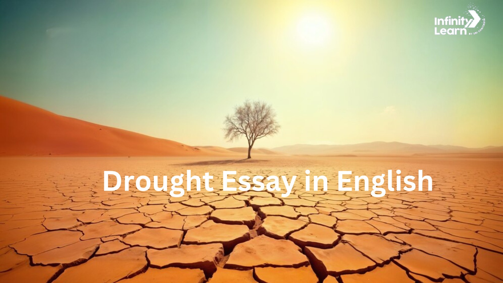 Drought Essay in English