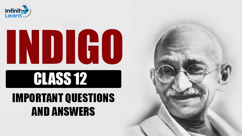 Indigo Class 12 Important Questions And Answers