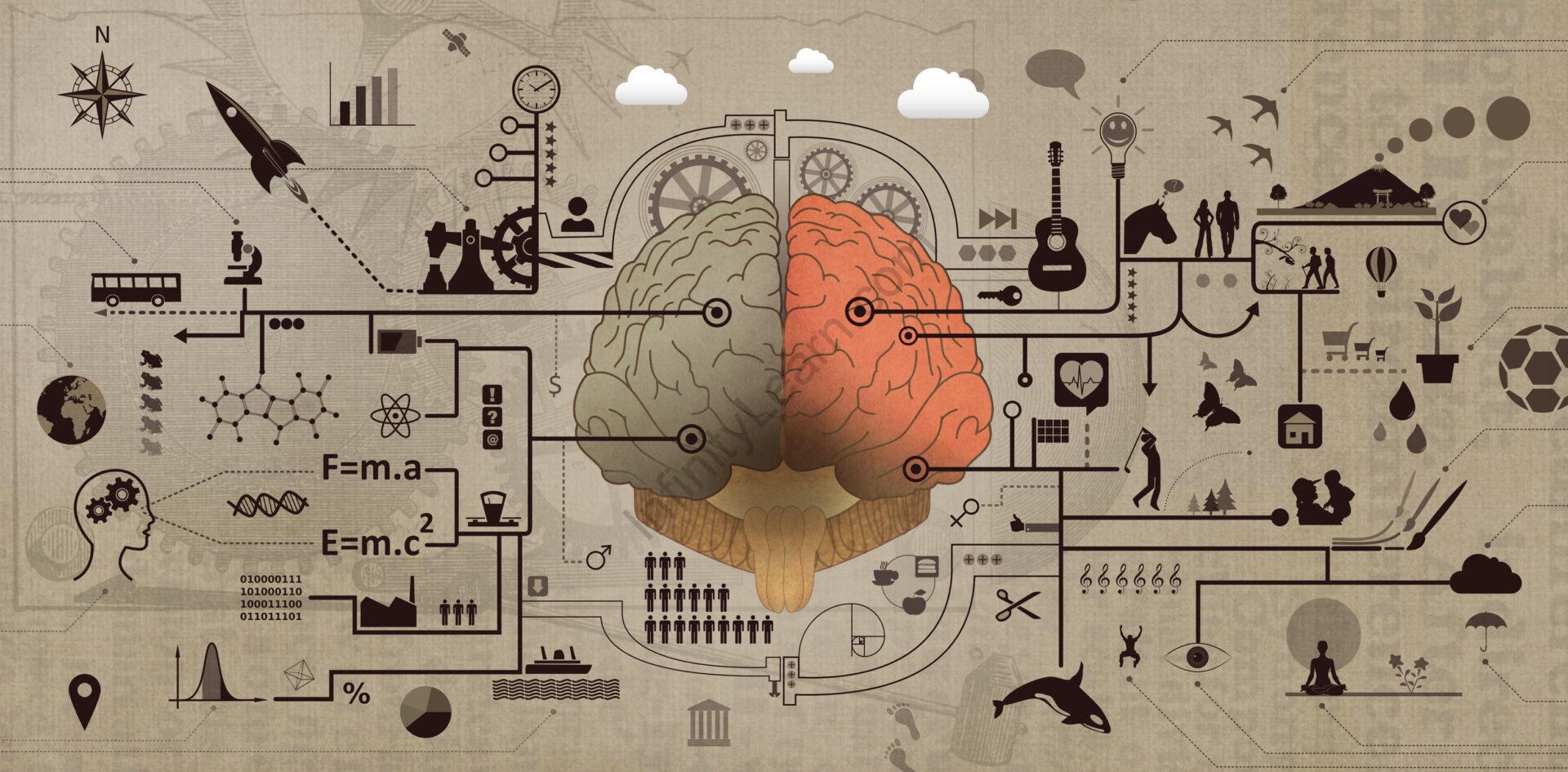 Brain-based learning