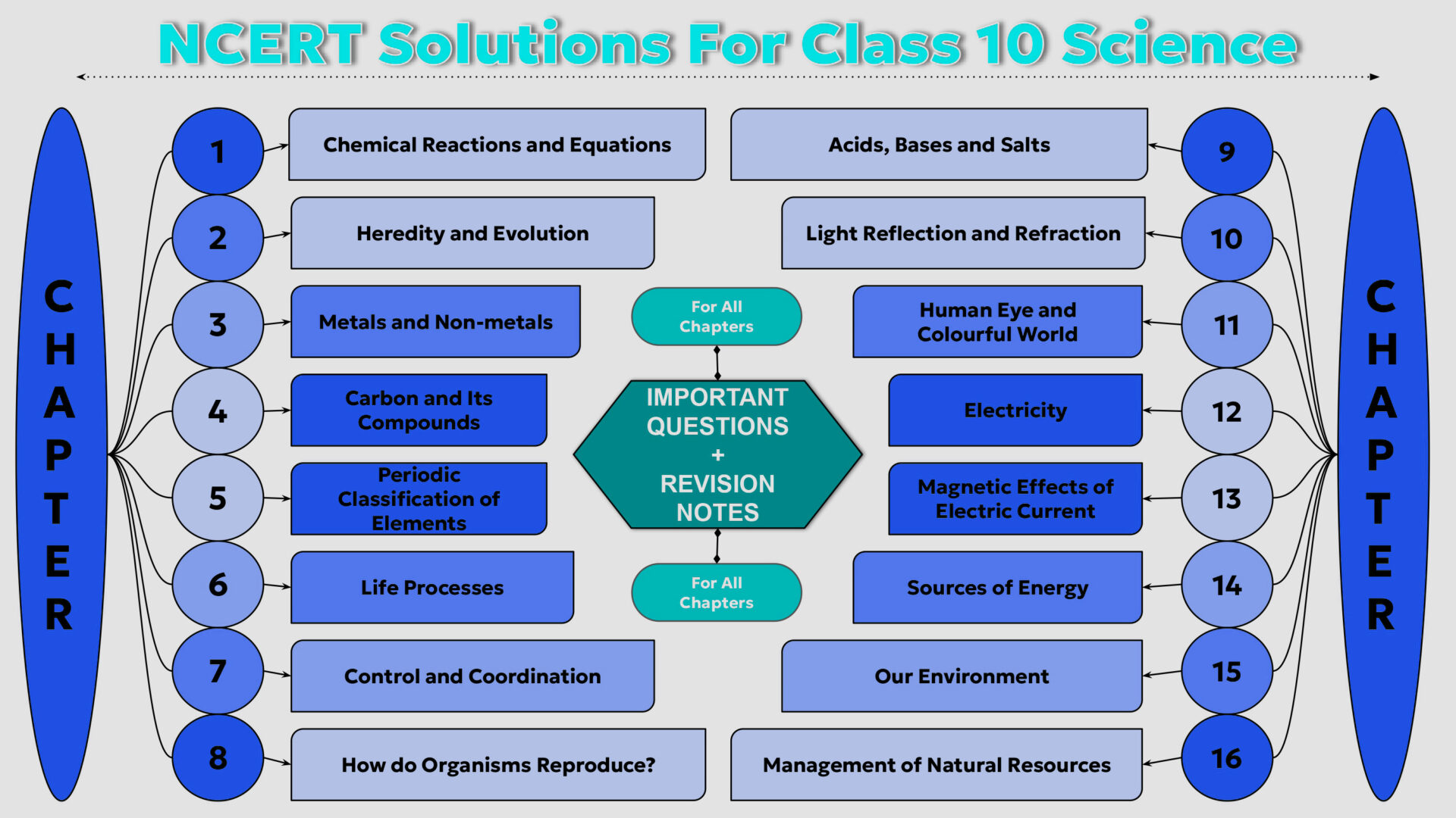 NCERT Solutions Class 10 Science