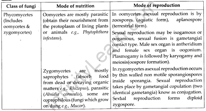 NCERT Solutions For Class 11 Biology Biological Classification - Infinity  Learn